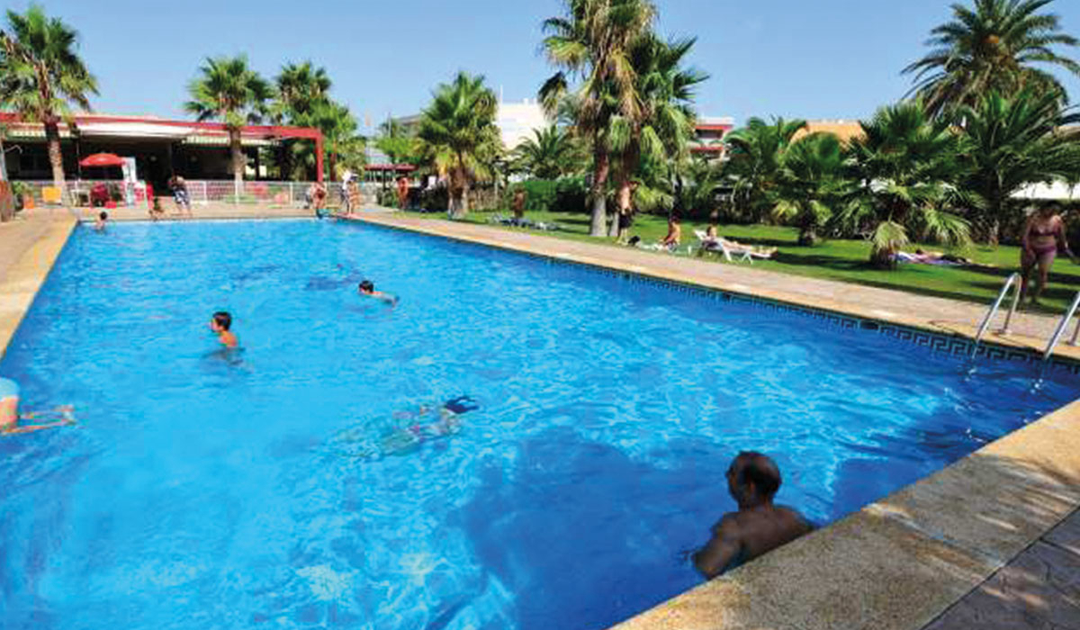 Eucaliptus Cataluña - Amposta visuel 1/3