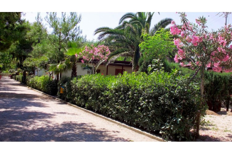 International Torre Cerrano Abruzos - Pineto visuel 5/6