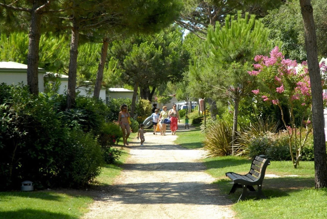 Camping Jesolo Mare Véneto - Lido di Jesolo visuel 9/10 Camping Jesolo Mare Véneto - Lido di Jesolo visuel 9/10