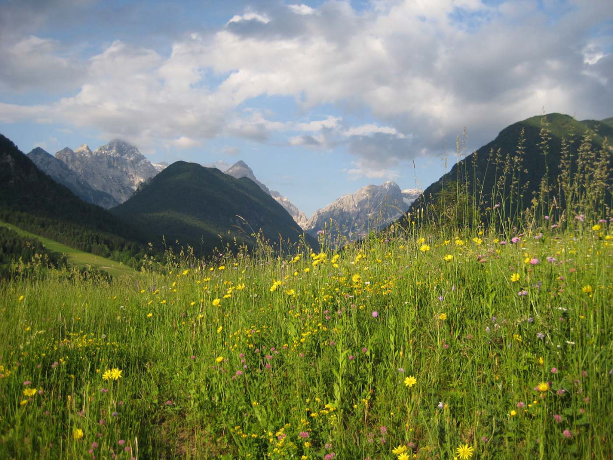 Camping Kamne Alta Carniola - Mojstrana visuel 3/3