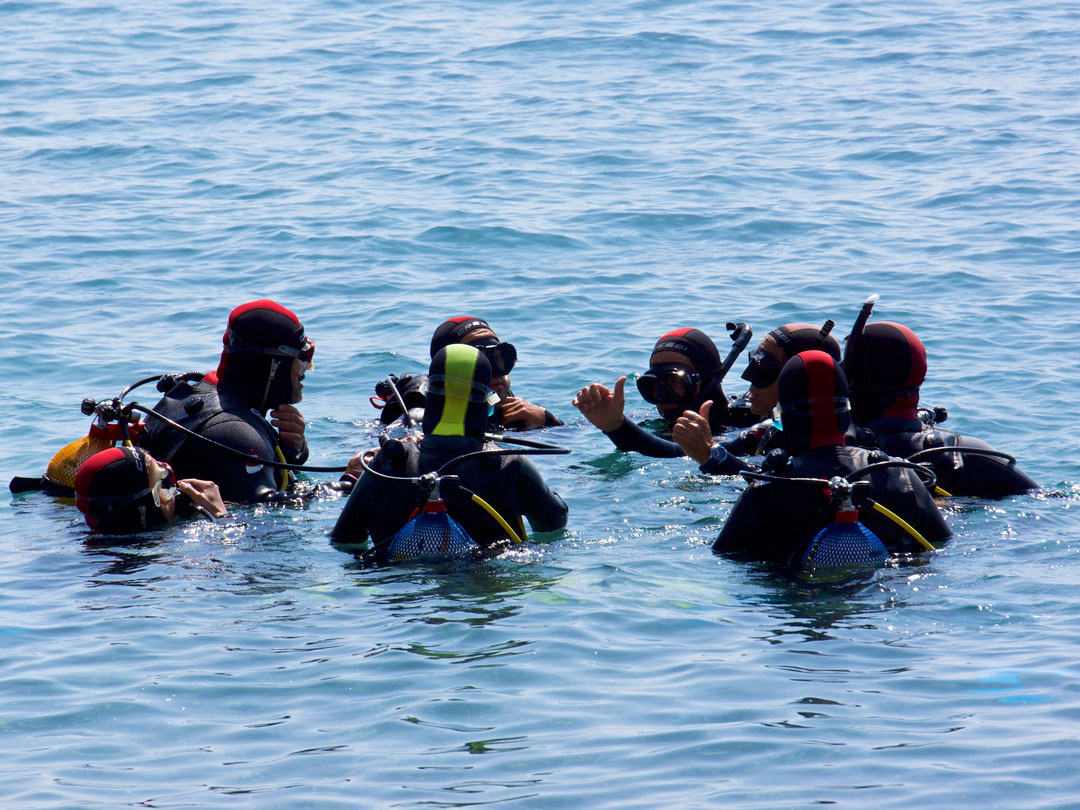 La Garrofa Andalucía - Almería visuel 2/3