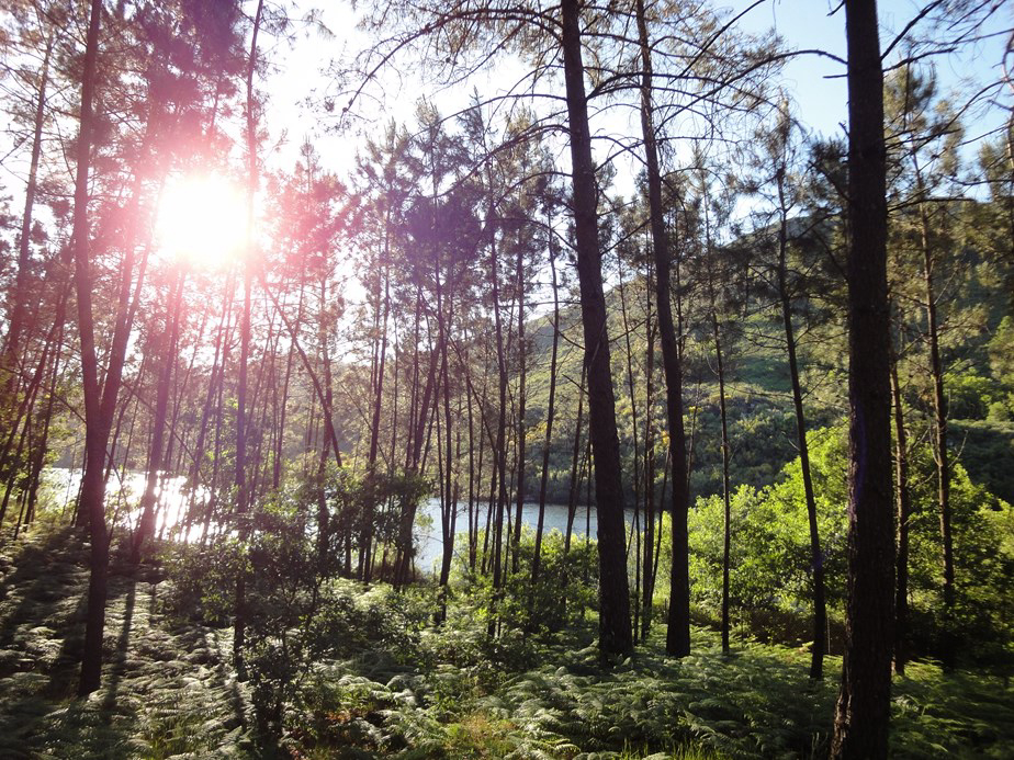 Camping Lima Escape Norte  - Ponte da Barca visuel 4/5