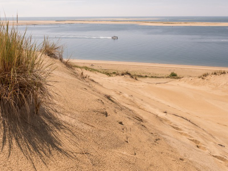 Camping Maurice Paloque Aquitania - Gujan-Mestras visuel 3/4