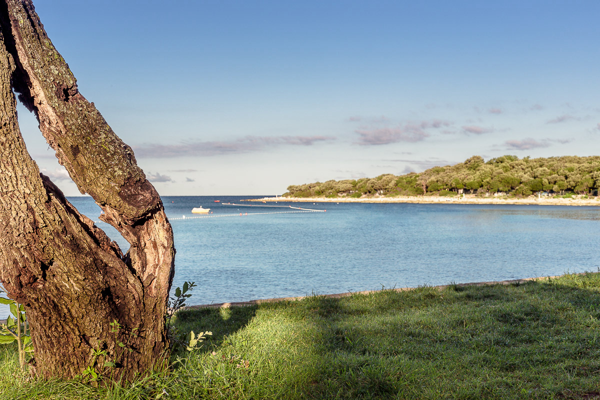 Mon Perin Istria - Bale visuel 8/17