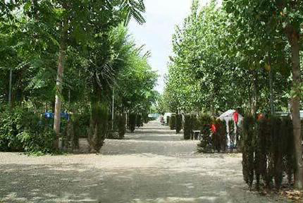 Camping Naturiste Almanat Andalucía - Torre del Mar visuel 3/3