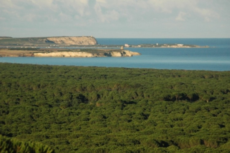 Camping Nurapolis Cerdeña - Narbolia visuel 4/7