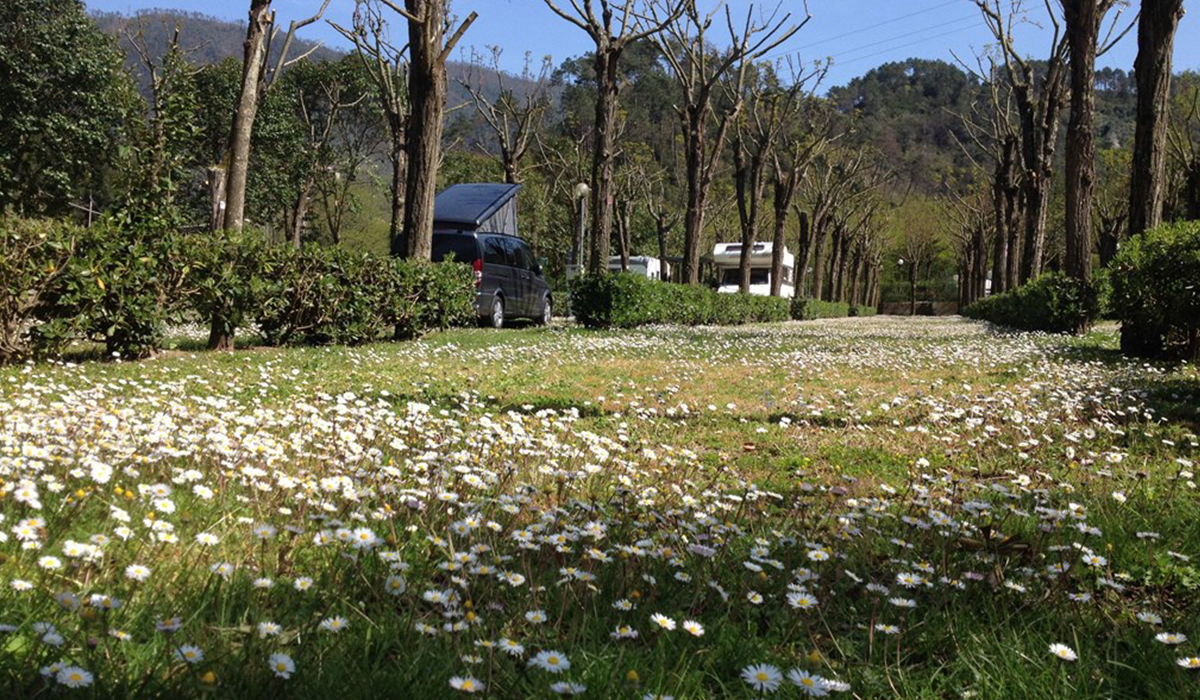 Camping Pian di Picche Liguria - levanto visuel 1/3 Camping Pian di Picche Liguria - levanto visuel 1/3