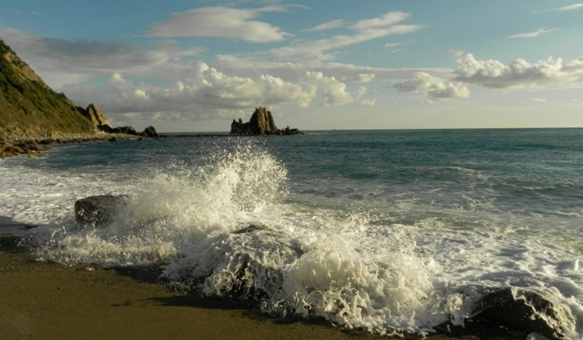 Camping Pineta Liguria - Sestri Levante visuel 1/2