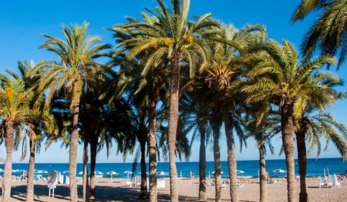 Camping Playa Paraíso Costa de Valencia - La Vila Joiosa visuel 1/1 Camping Playa Paraíso Costa de Valencia - La Vila Joiosa visuel 1/1