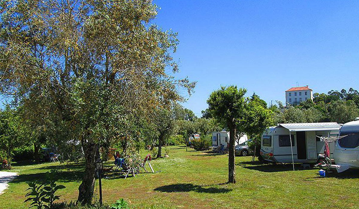 Camping Quinta da Cerejeira Centro - Ferreira do Zêzere visuel 1/3