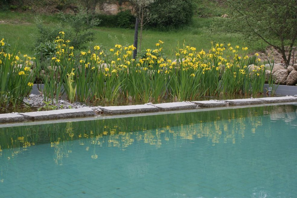 Camping Quinta do Retiro Norte  - covas visuel 2/4