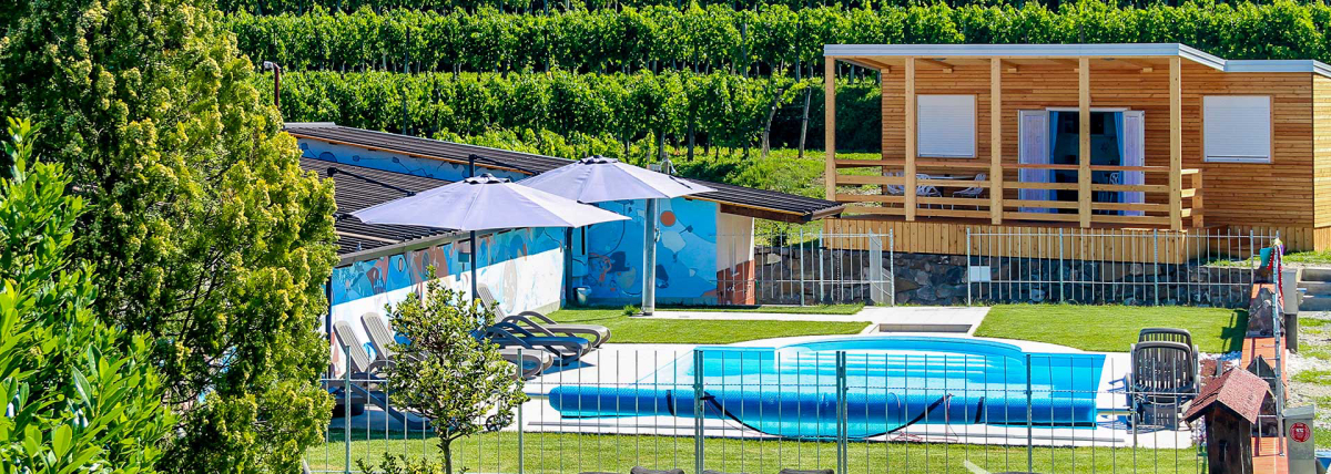 Camping Saksida Wine and Camping Resort Istria Eslovena - Dornberk visuel 2/3