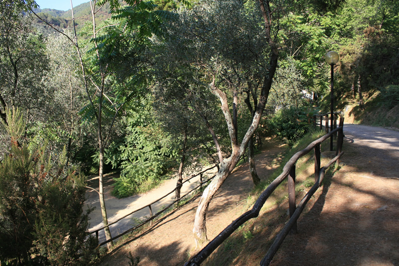 San Michele Liguria - levanto visuel 3/3 San Michele Liguria - levanto visuel 3/3