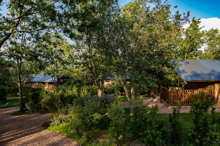 Tenuta Poggio Rosso Toscana - Piombino visuel 3/5 Tenuta Poggio Rosso Toscana - Piombino visuel 3/5