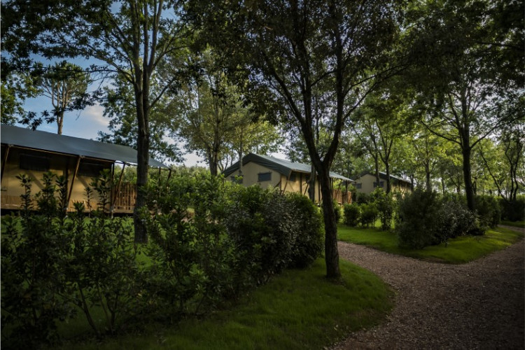 Tenuta Poggio Rosso Toscana - Piombino visuel 2/5 Tenuta Poggio Rosso Toscana - Piombino visuel 2/5