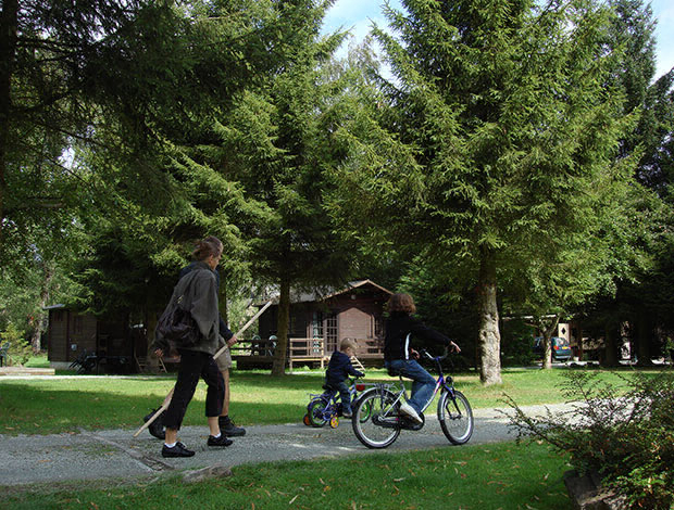 Camping Tonny Luxemburgo - Sainte-Ode visuel 3/3