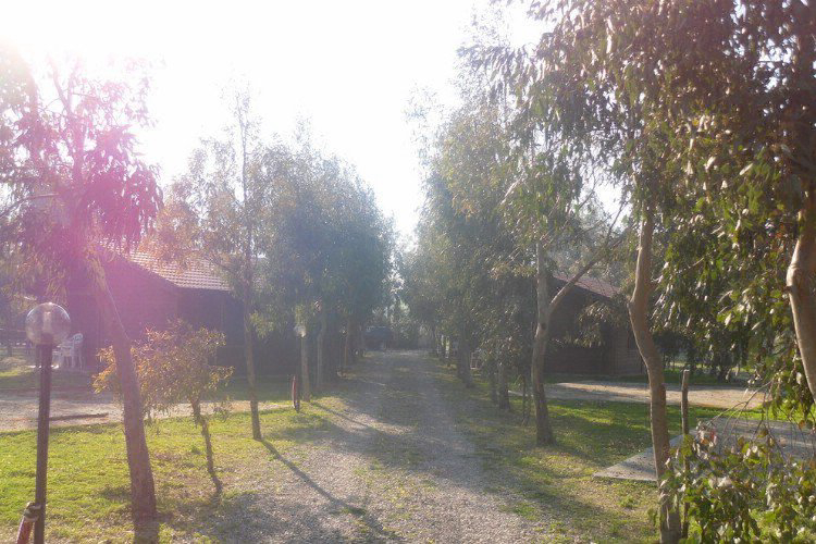 Villaggio Le Casette Calabria - Cirò Marina visuel 2/4