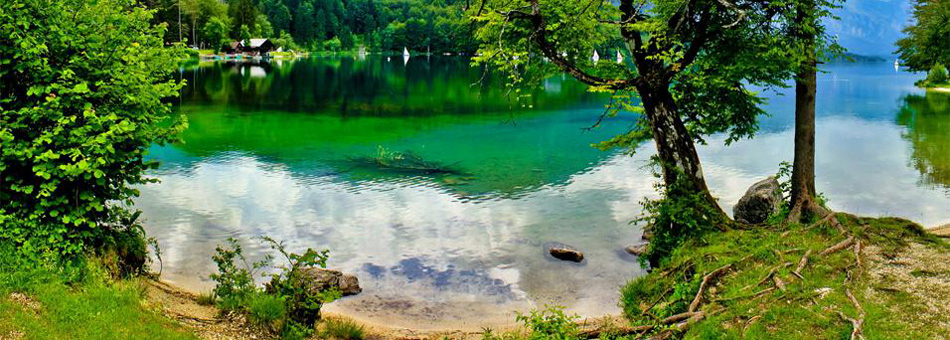 Camping Zlatorog Alta Carniola - Bohinjska Bistrica visuel 3/4