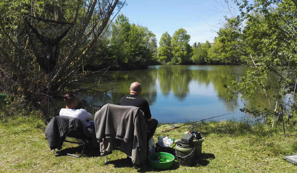 Camping de Châlons en Champagne Champaña-Ardenas - Châlons-en-Champagne visuel 2/8 Camping de Châlons en Champagne Champaña-Ardenas - Châlons-en-Champagne visuel 2/8