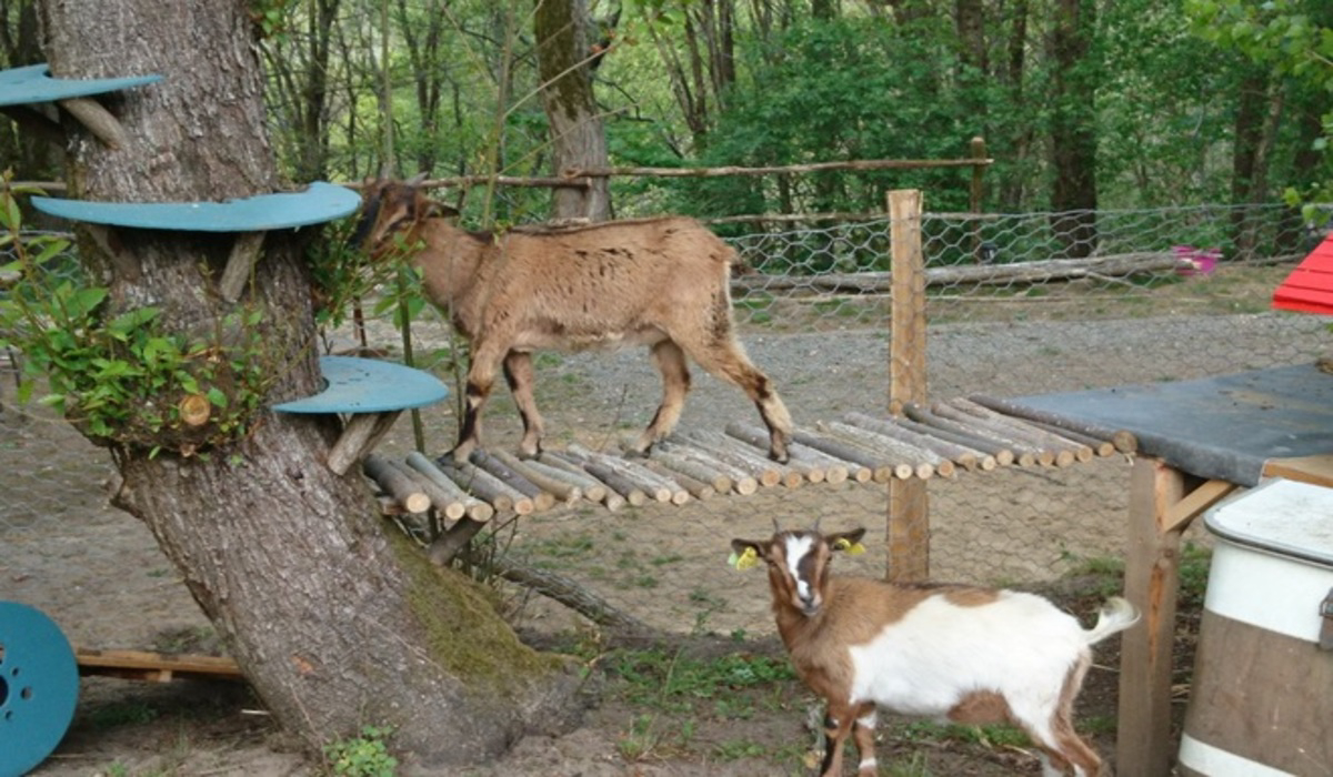 Camping de Montmaurin Mediodía-Pirineos - Montmaurin visuel 5/8 Camping de Montmaurin Mediodía-Pirineos - Montmaurin visuel 5/8