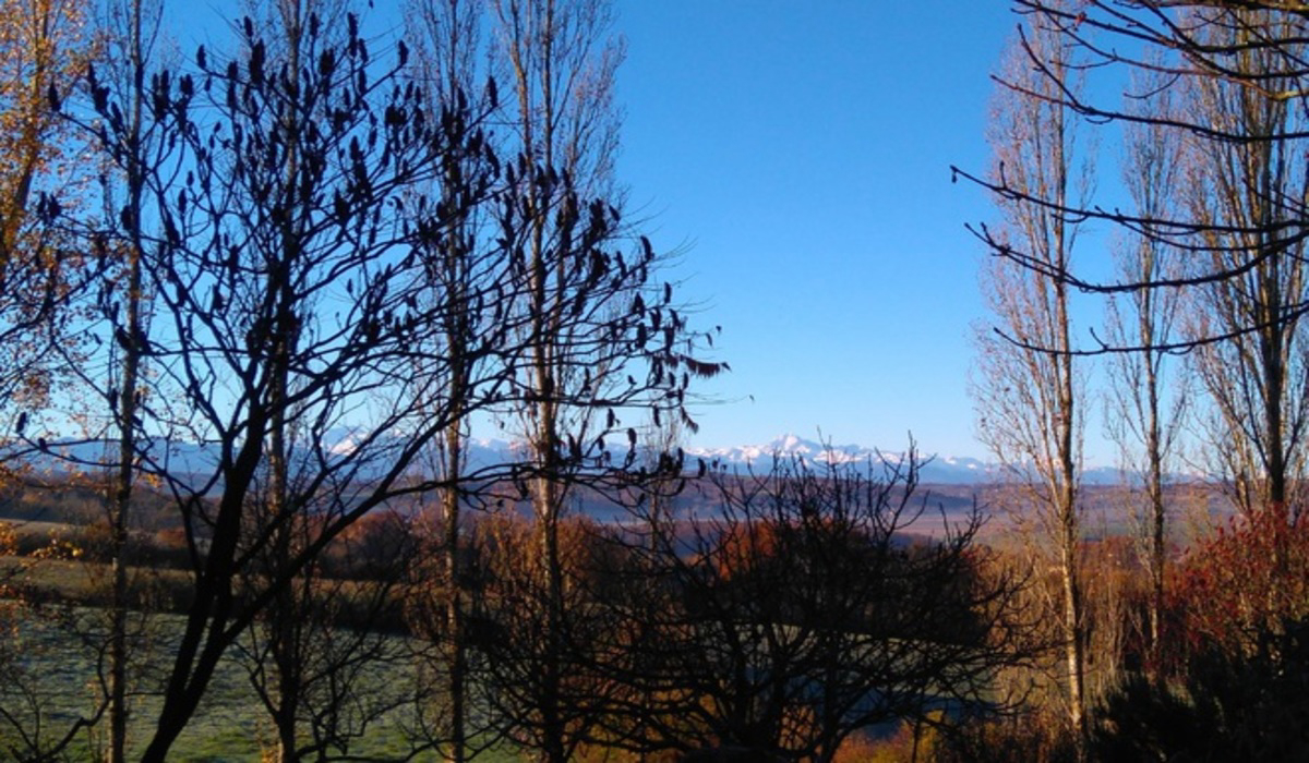 Camping de Montmaurin Mediodía-Pirineos - Montmaurin visuel 4/8 Camping de Montmaurin Mediodía-Pirineos - Montmaurin visuel 4/8