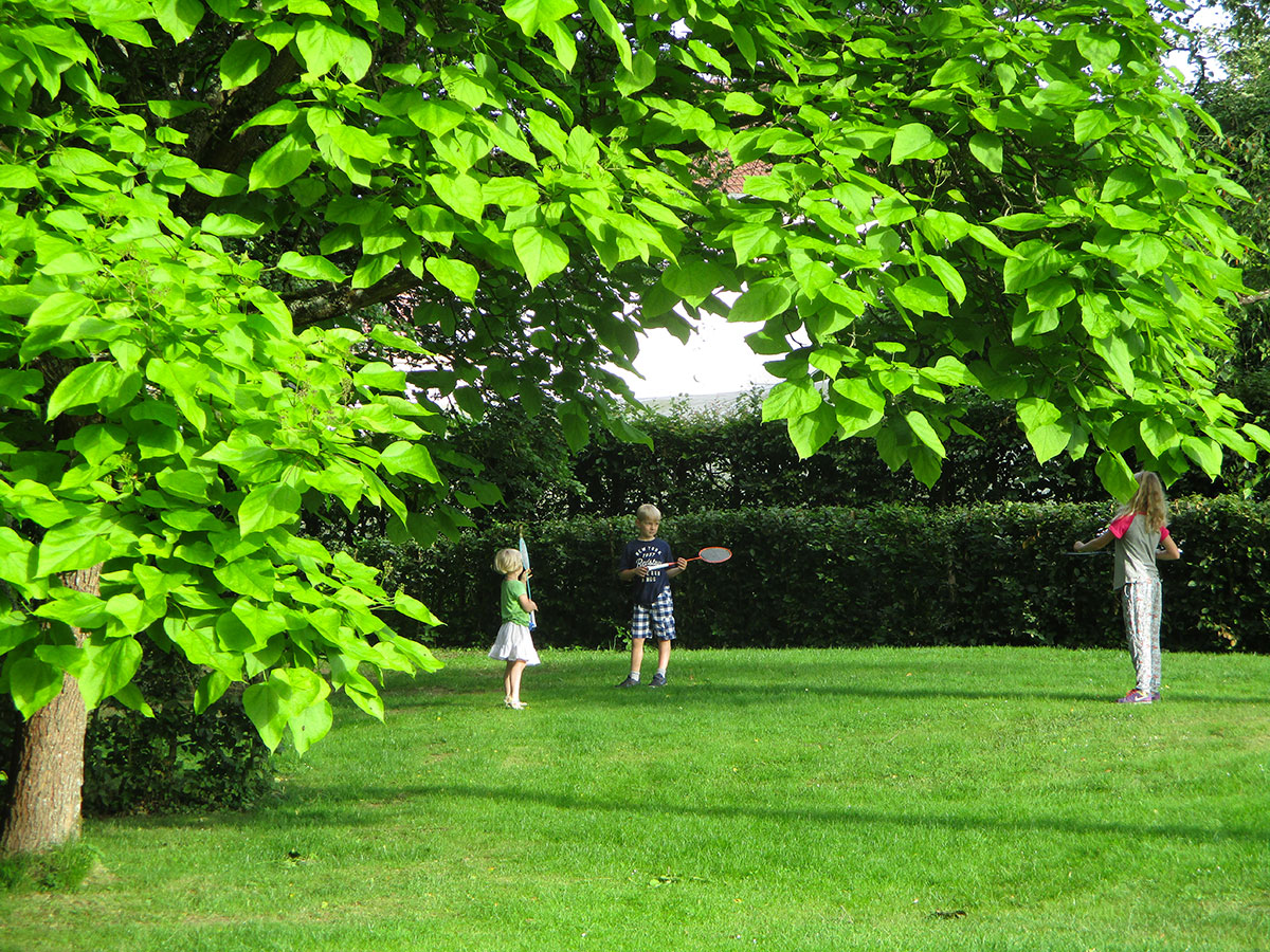 Camping de Vittel Lorena - Vittel visuel 6/10 Camping de Vittel Lorena - Vittel visuel 6/10