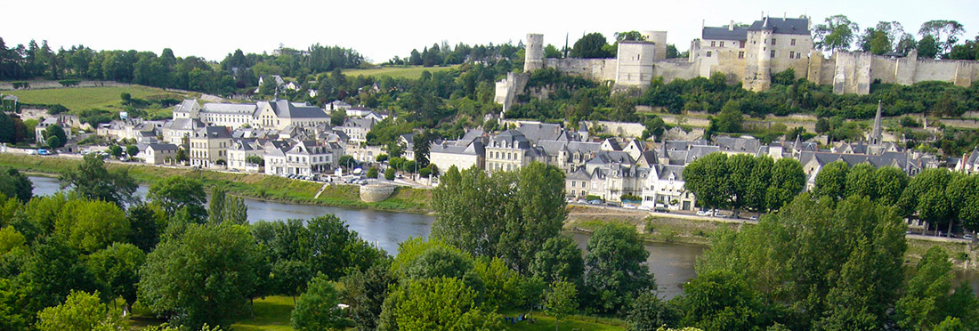 Camping de l'Ile Auger centro valle - Chinon visuel 2/4 Camping de l'Ile Auger centro valle - Chinon visuel 2/4