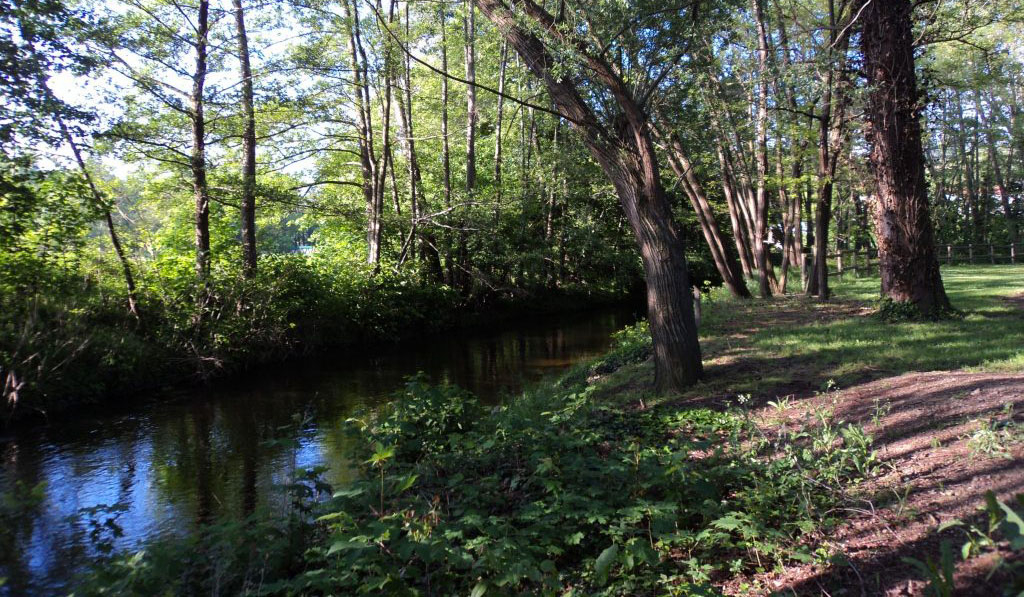 Camping de l'Orangerie Ródano-Alpes - Boën-sur-Lignon visuel 3/4
