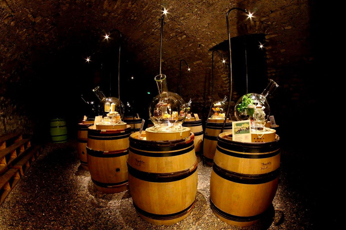 Camping de l'île centro valle - Bannay visuel 11/13 Camping de l'île centro valle - Bannay visuel 11/13