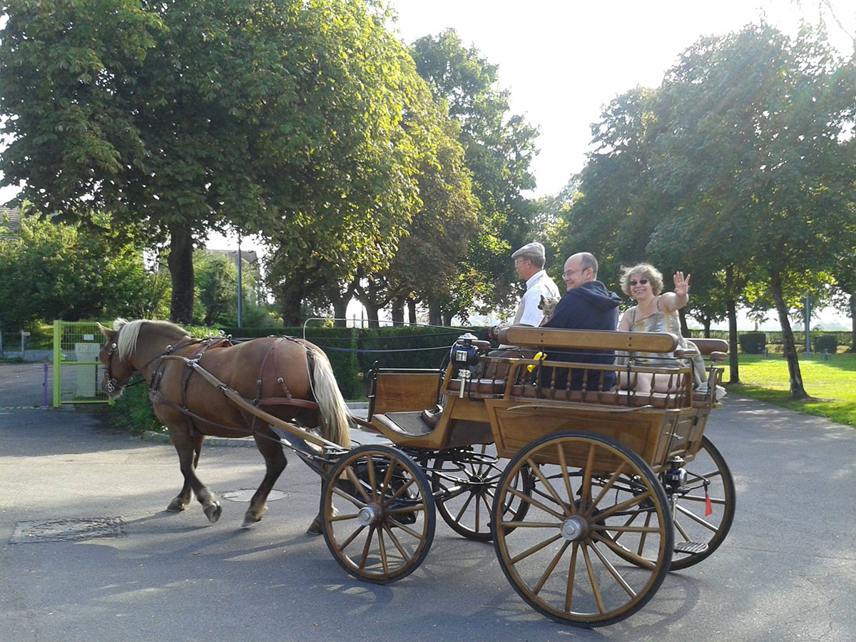Camping de la Porte d'Arroux Bourgogne - Autun visuel 10/15
