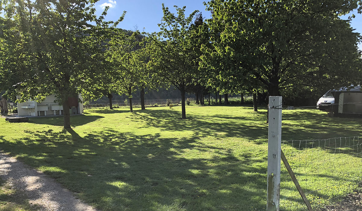 Camping de la Seine Alta Normandía - Jumièges visuel 2/3