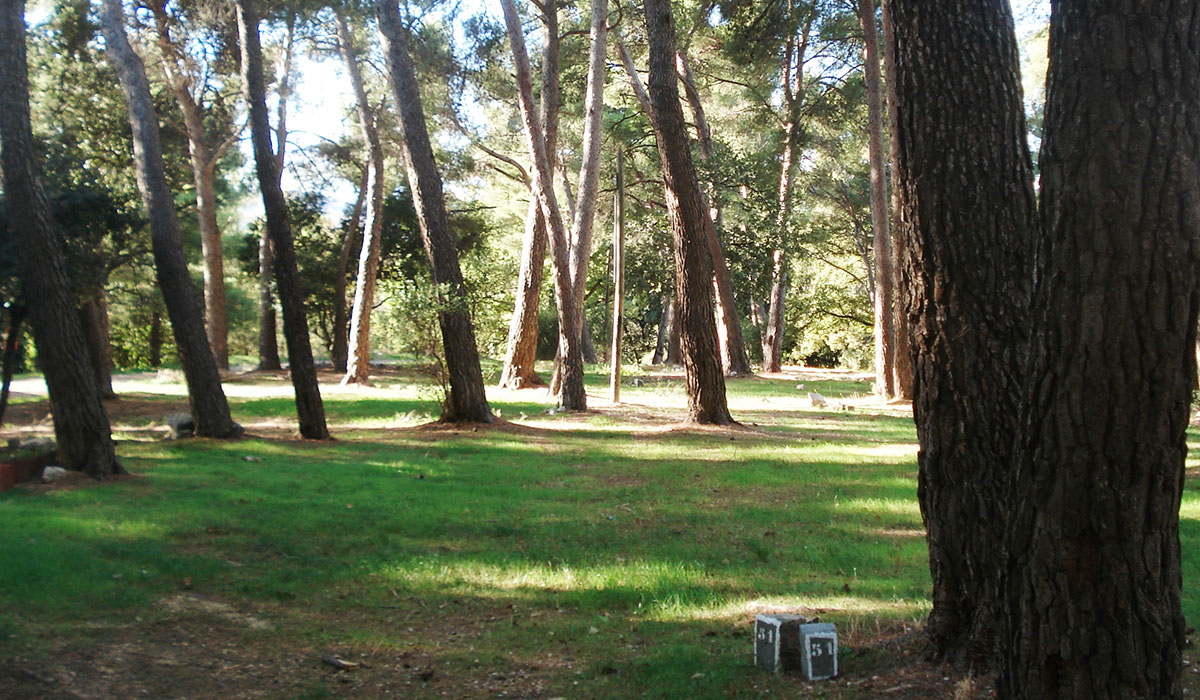 Camping du Garlaban Provenza-Alpes-Costa Azul - Aubagne visuel 9/9