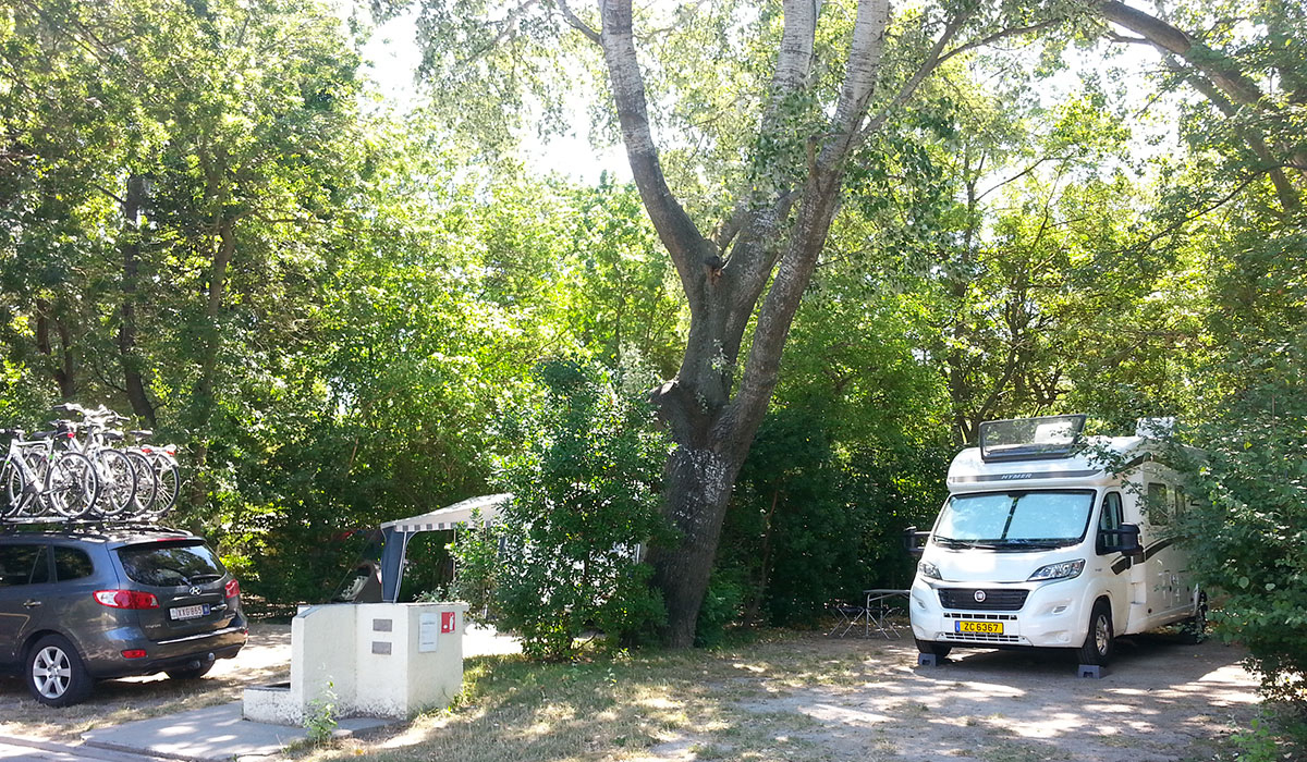 Camping du Pont d'Avignon Provenza-Alpes-Costa Azul - Avignon visuel 5/9 Camping du Pont d'Avignon Provenza-Alpes-Costa Azul - Avignon visuel 5/9