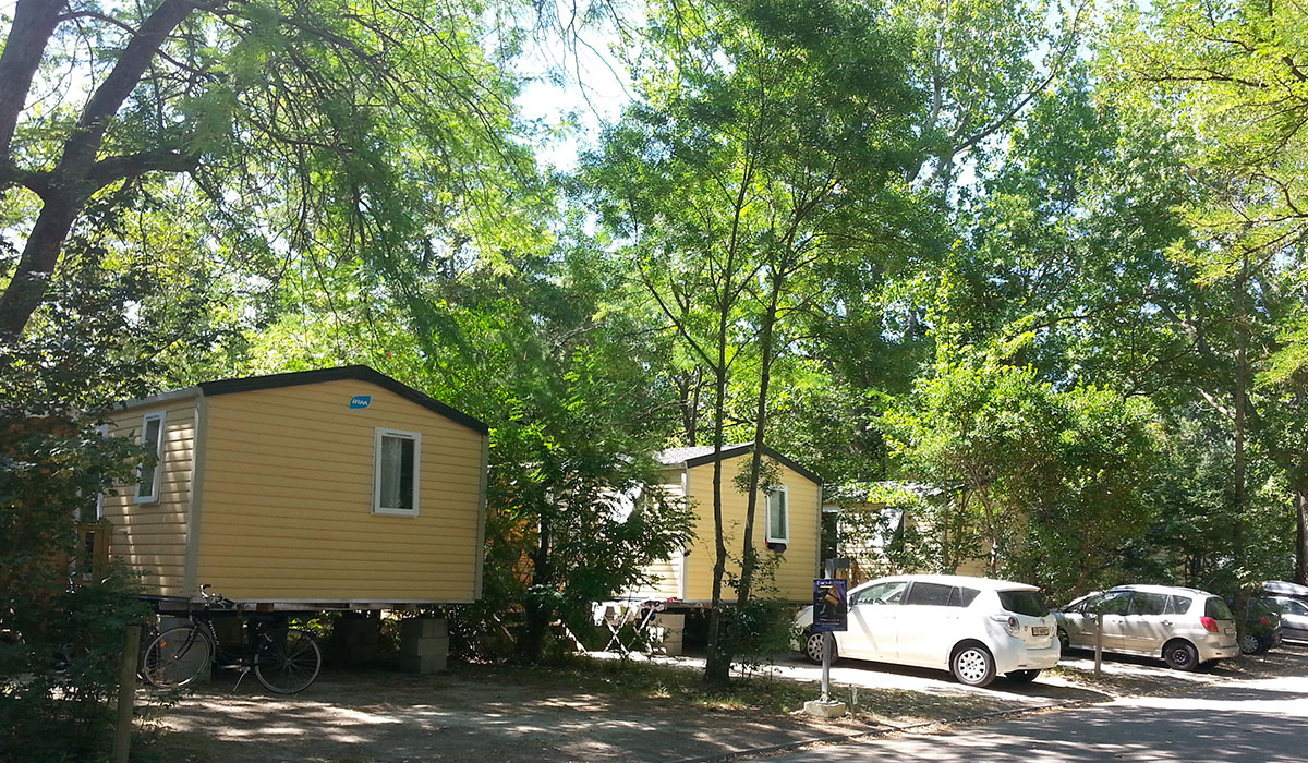 Camping du Pont d'Avignon Provenza-Alpes-Costa Azul - Avignon visuel 6/9 Camping du Pont d'Avignon Provenza-Alpes-Costa Azul - Avignon visuel 6/9