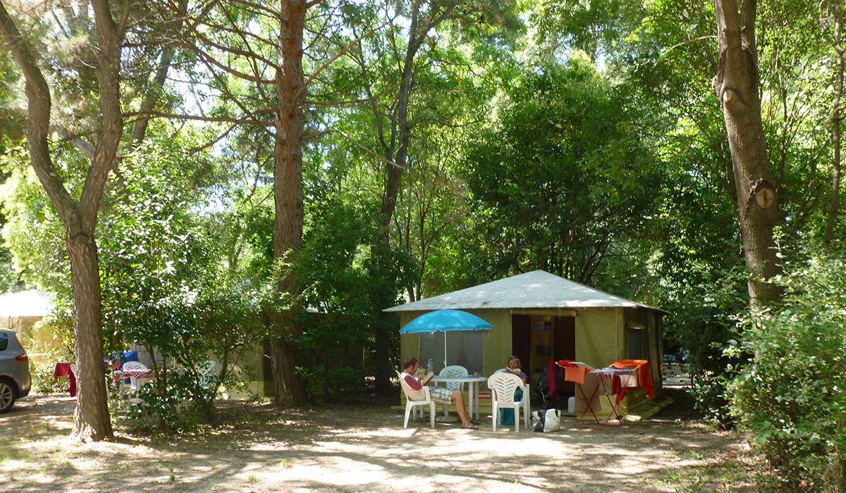 Camping du Pont d'Avignon Provenza-Alpes-Costa Azul - Avignon visuel 4/9 Camping du Pont d'Avignon Provenza-Alpes-Costa Azul - Avignon visuel 4/9