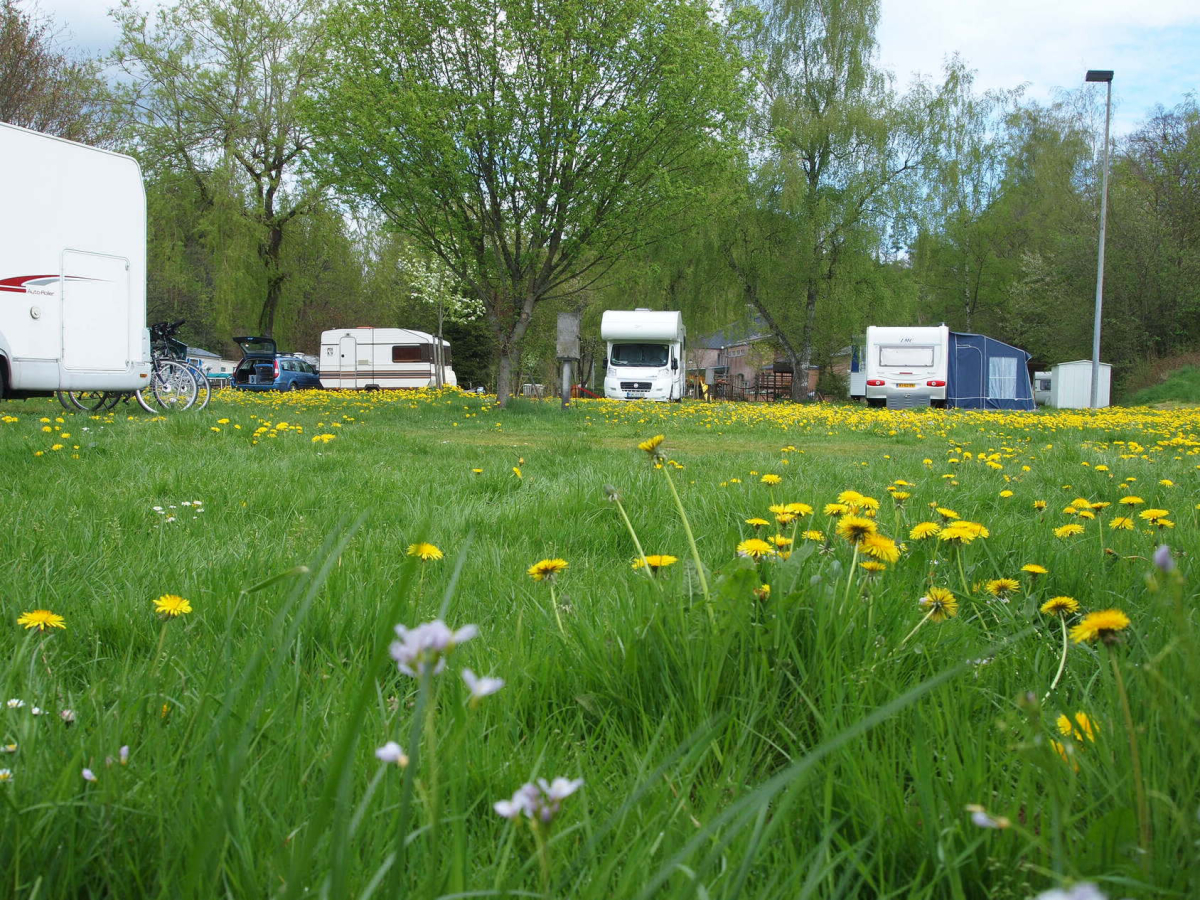 Camping l'Eau Rouge Lieja - Stavelot visuel 3/3
