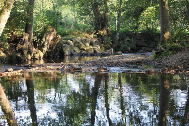Camping l'Eau Rouge Lieja - Stavelot visuel 2/3