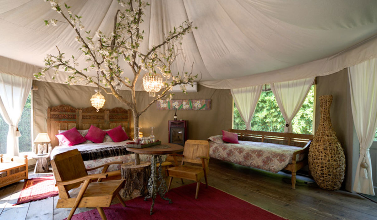 Canonici di San Marco Véneto - mirano visuel 3/5