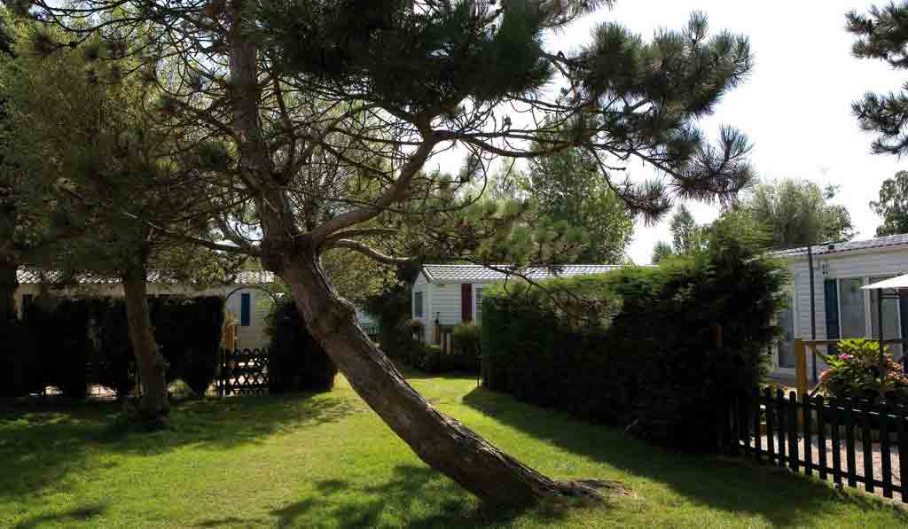 Caravaning Les Garennes Norte-Paso de Calais - Rang-du-Fliers visuel 2/4