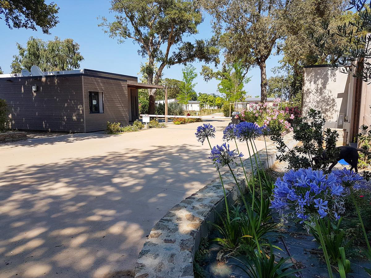 Casa e Natura Córcega - Santa-Maria-Poggio visuel 3/8