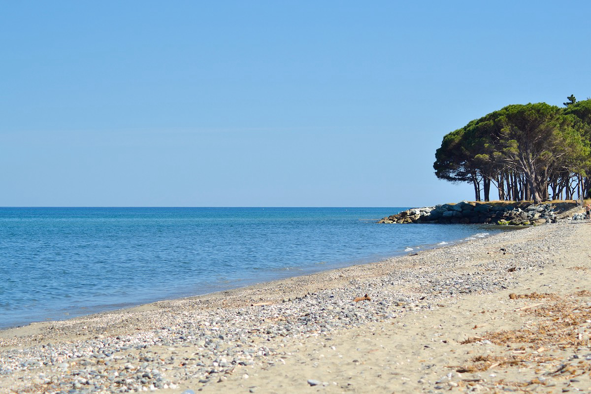 Casa e Natura Córcega - Santa-Maria-Poggio visuel 6/8