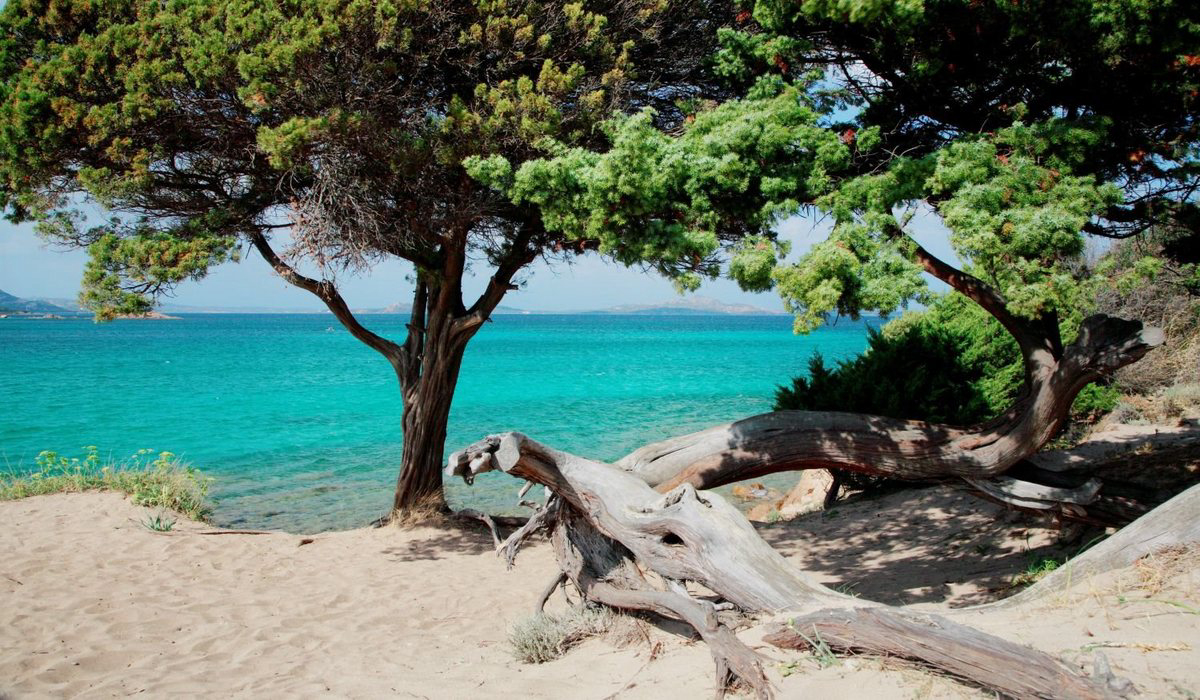 Centro Vacanze Isuledda Cerdeña - Cannigione visuel 2/14