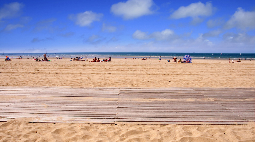 Chant des Oiseaux Baja Normandía - Trouville-sur-Mer visuel 1/1 Chant des Oiseaux Baja Normandía - Trouville-sur-Mer visuel 1/1