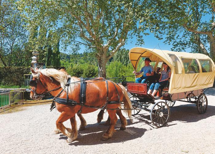 Chateau Laval Provenza-Alpes-Costa Azul - Gréoux-les-Bains visuel 26/29