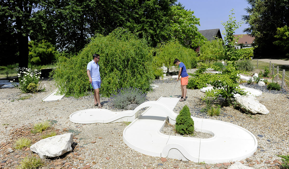 Château des Marais centro valle - Muides-sur-Loire visuel 12/22
