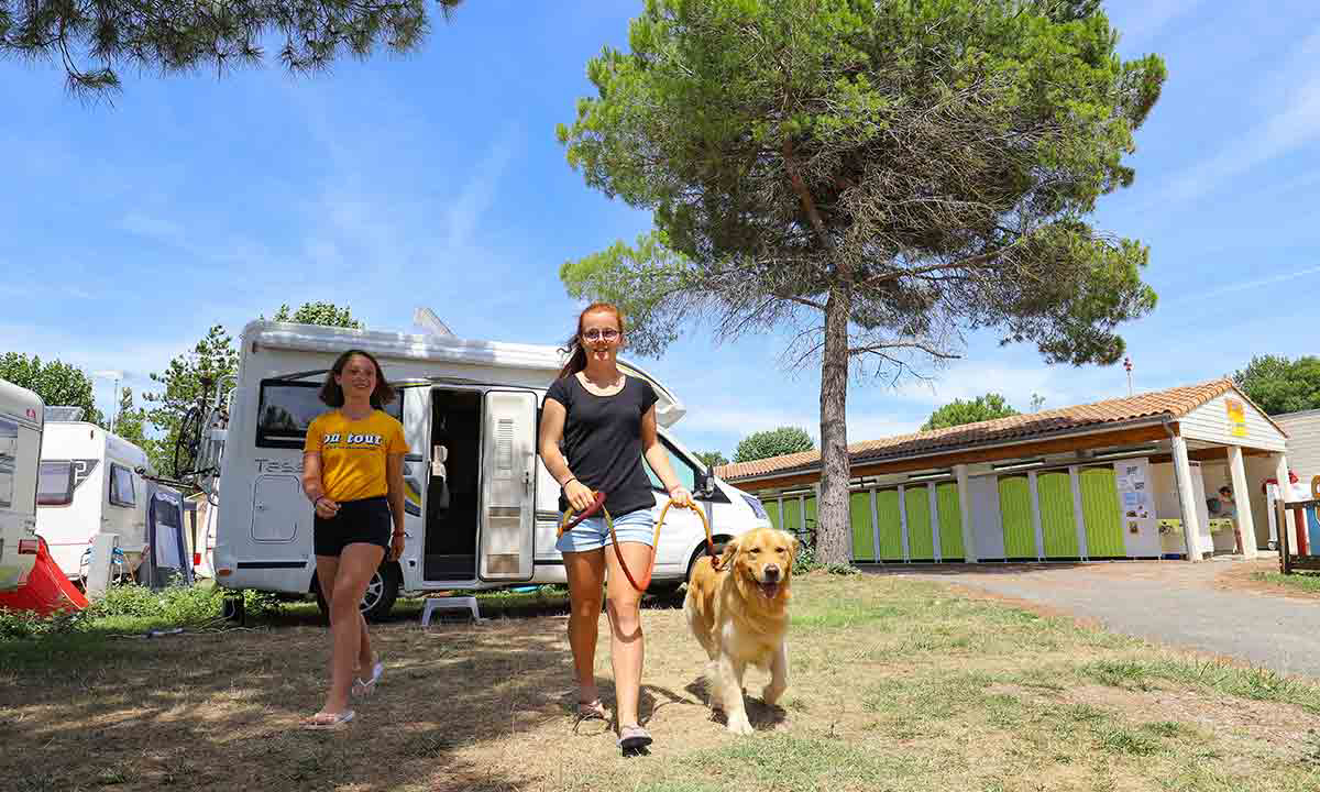 Campéole Pontaillac Plage Poitou-Charentes - Royan visuel 15/32
