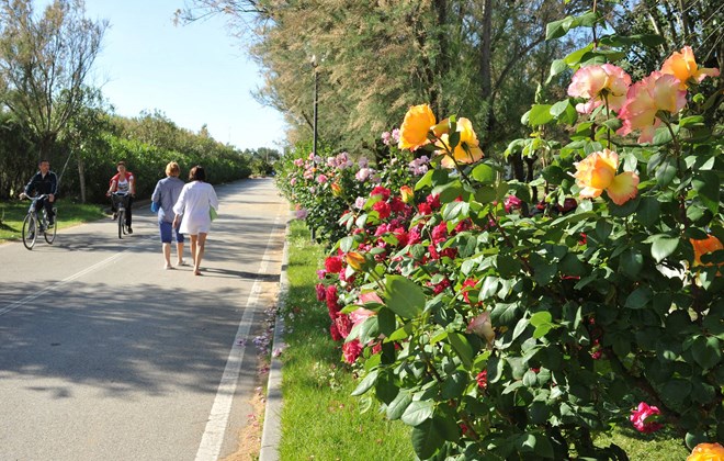 Club del Sole Spina Emilia-Romaña - Lido Di Spina visuel 4/5 Club del Sole Spina Emilia-Romaña - Lido Di Spina visuel 4/5