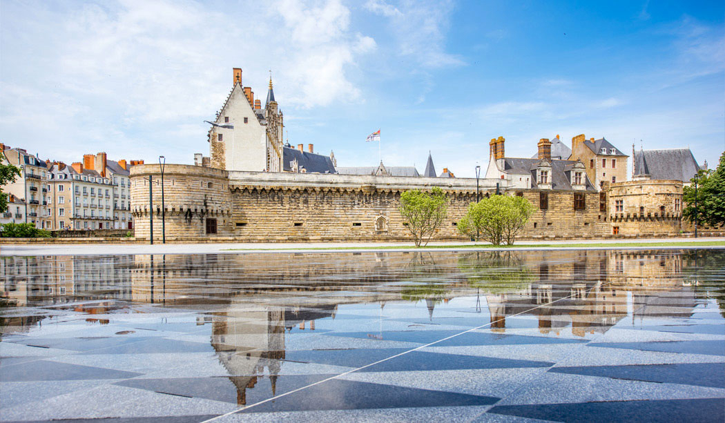 Coeur de Vendée Países del Loira - La Boissière-de-Montaigu visuel 10/10