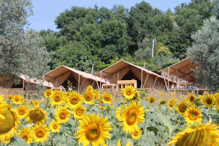 Countryhouse Il Girasole Marcas - Massignano visuel 6/7