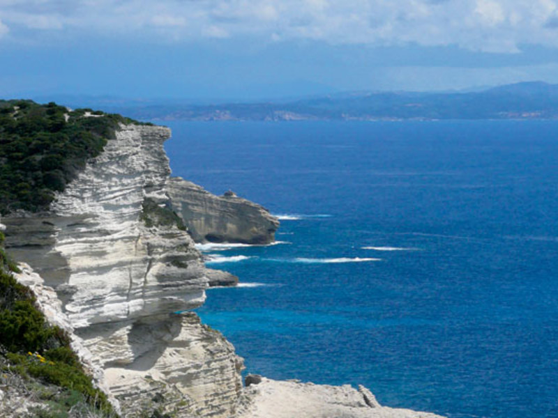 Cupulatta Córcega - Porto-Vecchio visuel 6/12 Cupulatta Córcega - Porto-Vecchio visuel 6/12